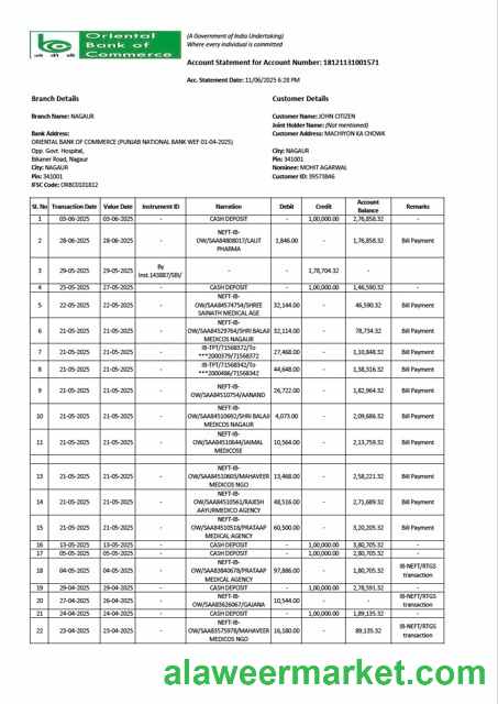 India Oriental Bank of Commerce account statement Word and PDF template